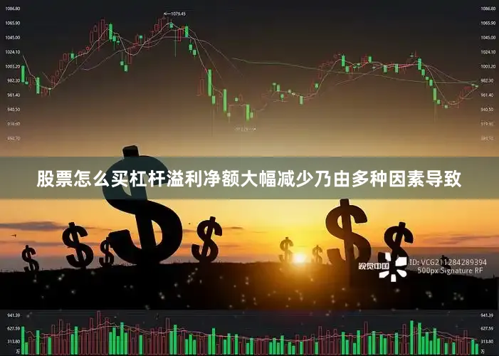 股票怎么买杠杆溢利净额大幅减少乃由多种因素导致