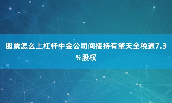 股票怎么上杠杆中金公司间接持有擎天全税通7.3%股权